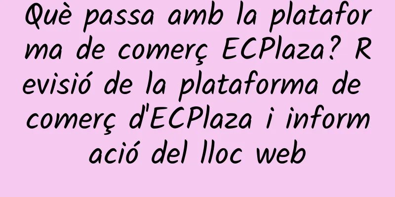 Què passa amb la plataforma de comerç ECPlaza? Revisió de la plataforma de comerç d'ECPlaza i informació del lloc web