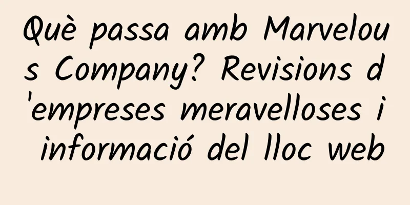 Què passa amb Marvelous Company? Revisions d'empreses meravelloses i informació del lloc web