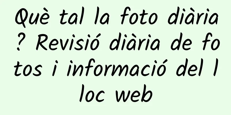 Què tal la foto diària? Revisió diària de fotos i informació del lloc web