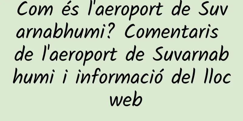 Com és l'aeroport de Suvarnabhumi? Comentaris de l'aeroport de Suvarnabhumi i informació del lloc web