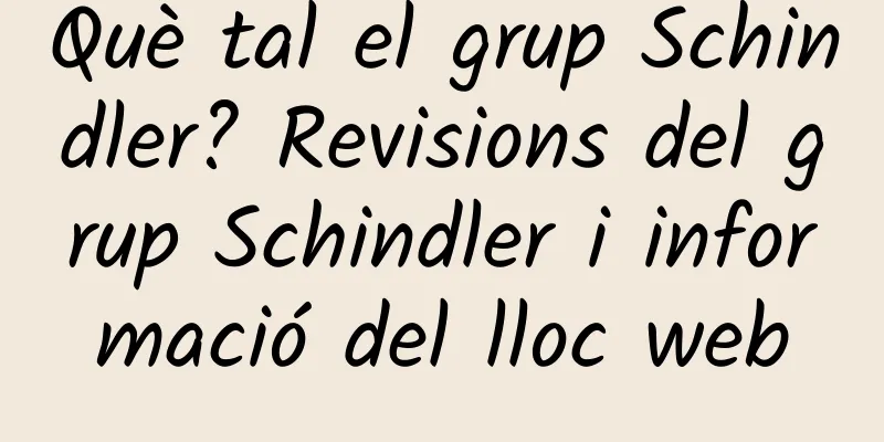 Què tal el grup Schindler? Revisions del grup Schindler i informació del lloc web