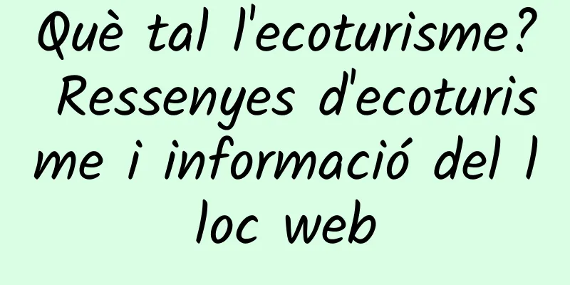 Què tal l'ecoturisme? Ressenyes d'ecoturisme i informació del lloc web