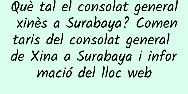 Què tal el consolat general xinès a Surabaya? Comentaris del consolat general de Xina a Surabaya i informació del lloc web