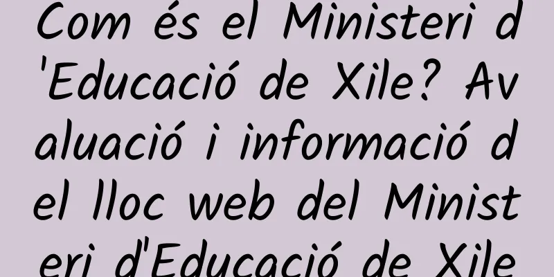 Com és el Ministeri d'Educació de Xile? Avaluació i informació del lloc web del Ministeri d'Educació de Xile