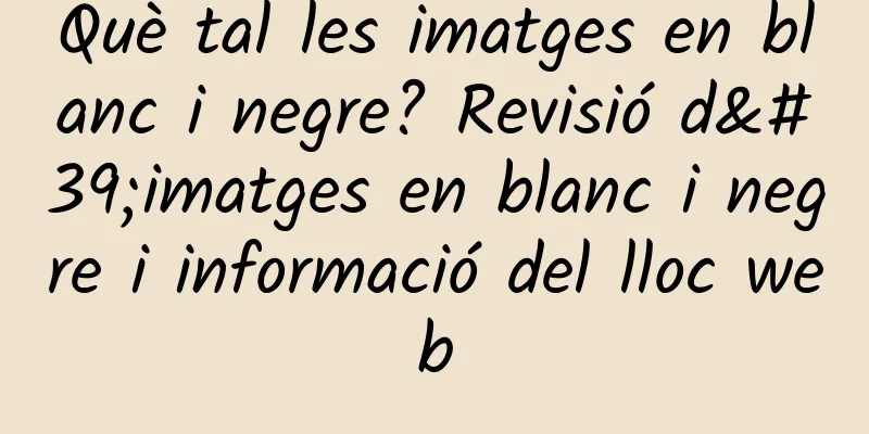 Què tal les imatges en blanc i negre? Revisió d'imatges en blanc i negre i informació del lloc web