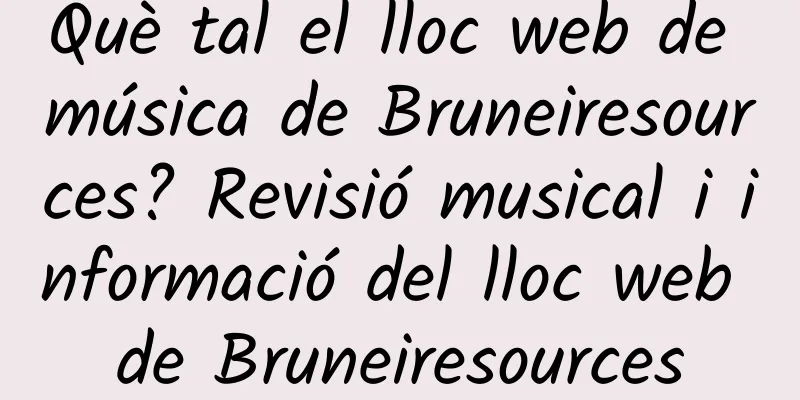 Què tal el lloc web de música de Bruneiresources? Revisió musical i informació del lloc web de Bruneiresources