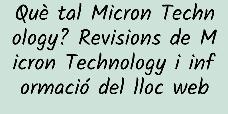 Què tal Micron Technology? Revisions de Micron Technology i informació del lloc web