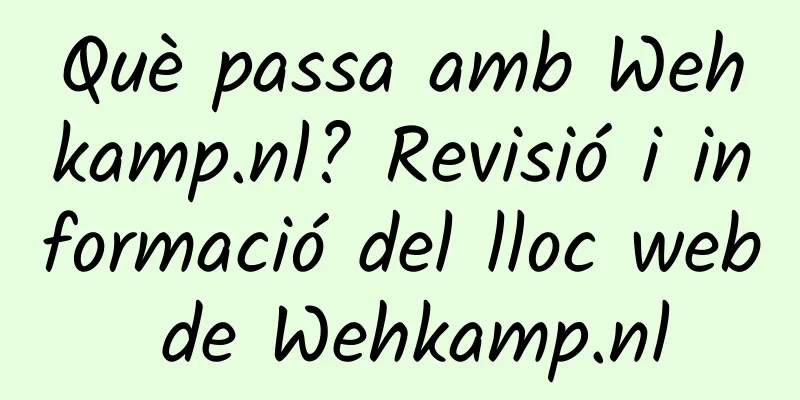 Què passa amb Wehkamp.nl? Revisió i informació del lloc web de Wehkamp.nl