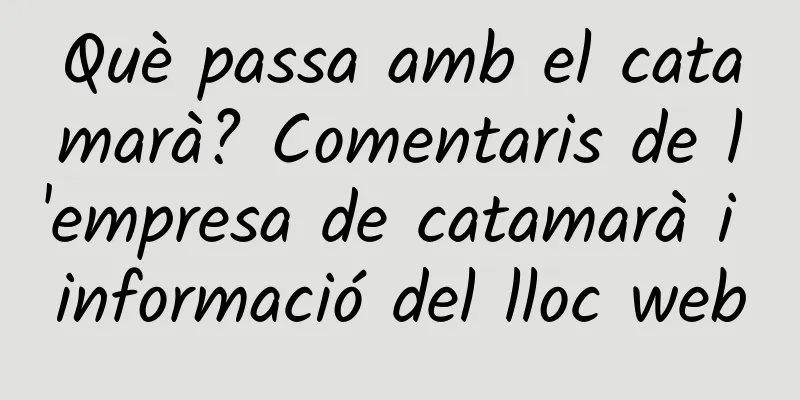 Què passa amb el catamarà? Comentaris de l'empresa de catamarà i informació del lloc web