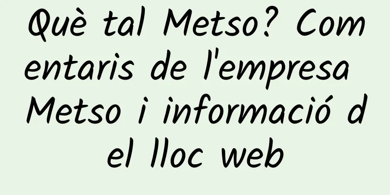 Què tal Metso? Comentaris de l'empresa Metso i informació del lloc web
