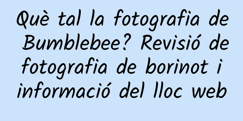 Què tal la fotografia de Bumblebee? Revisió de fotografia de borinot i informació del lloc web