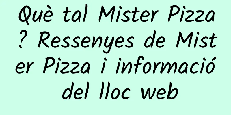 Què tal Mister Pizza? Ressenyes de Mister Pizza i informació del lloc web