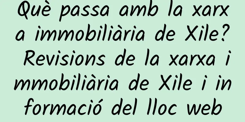 Què passa amb la xarxa immobiliària de Xile? Revisions de la xarxa immobiliària de Xile i informació del lloc web