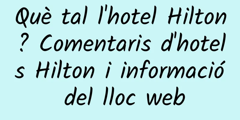 Què tal l'hotel Hilton? Comentaris d'hotels Hilton i informació del lloc web