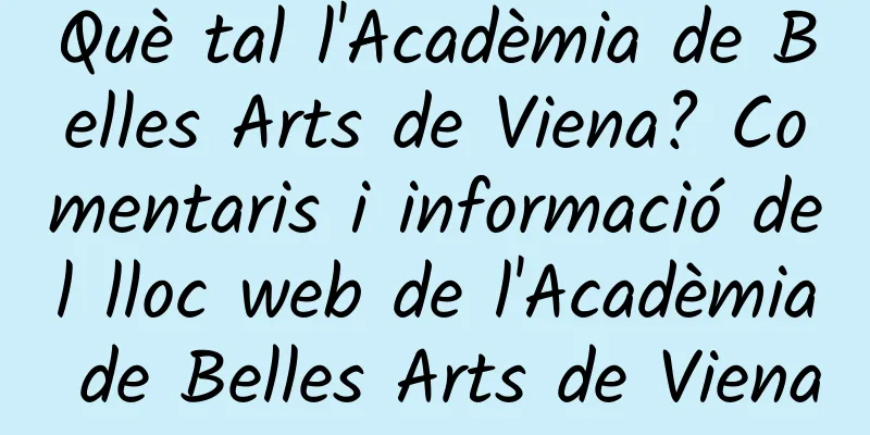 Què tal l'Acadèmia de Belles Arts de Viena? Comentaris i informació del lloc web de l'Acadèmia de Belles Arts de Viena