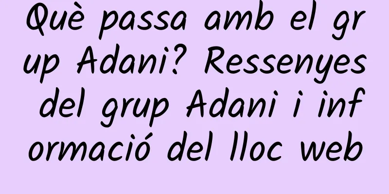 Què passa amb el grup Adani? Ressenyes del grup Adani i informació del lloc web
