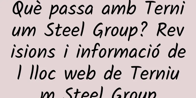 Què passa amb Ternium Steel Group? Revisions i informació del lloc web de Ternium Steel Group