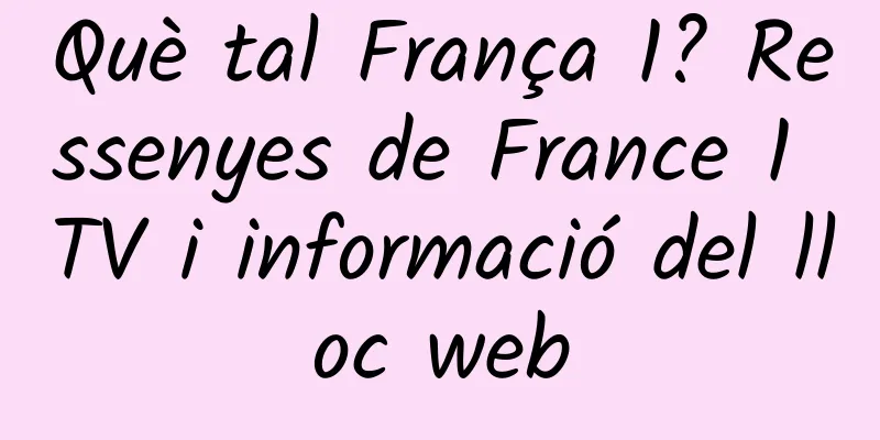 Què tal França 1? Ressenyes de France 1 TV i informació del lloc web