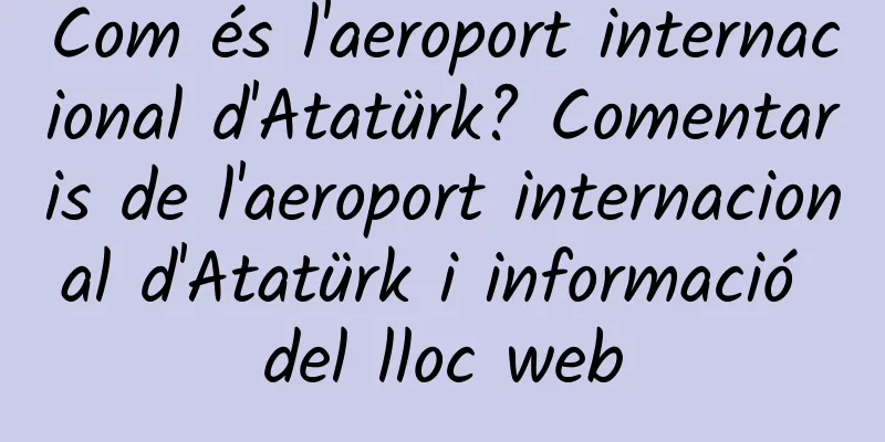 Com és l'aeroport internacional d'Atatürk? Comentaris de l'aeroport internacional d'Atatürk i informació del lloc web