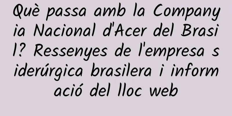 Què passa amb la Companyia Nacional d'Acer del Brasil? Ressenyes de l'empresa siderúrgica brasilera i informació del lloc web