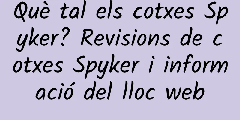 Què tal els cotxes Spyker? Revisions de cotxes Spyker i informació del lloc web