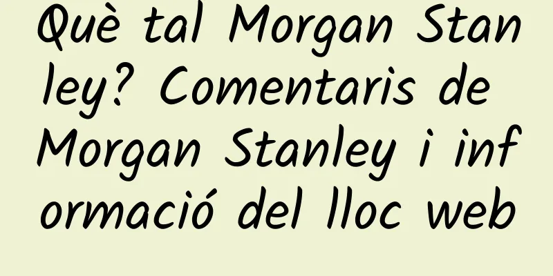 Què tal Morgan Stanley? Comentaris de Morgan Stanley i informació del lloc web
