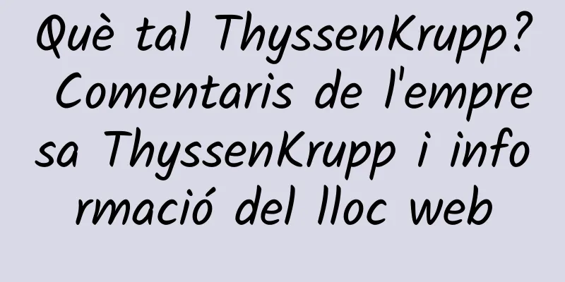 Què tal ThyssenKrupp? Comentaris de l'empresa ThyssenKrupp i informació del lloc web