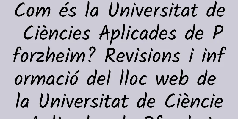 Com és la Universitat de Ciències Aplicades de Pforzheim? Revisions i informació del lloc web de la Universitat de Ciències Aplicades de Pforzheim