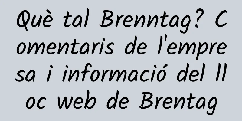 Què tal Brenntag? Comentaris de l'empresa i informació del lloc web de Brentag