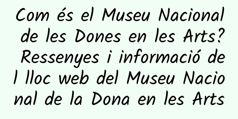 Com és el Museu Nacional de les Dones en les Arts? Ressenyes i informació del lloc web del Museu Nacional de la Dona en les Arts