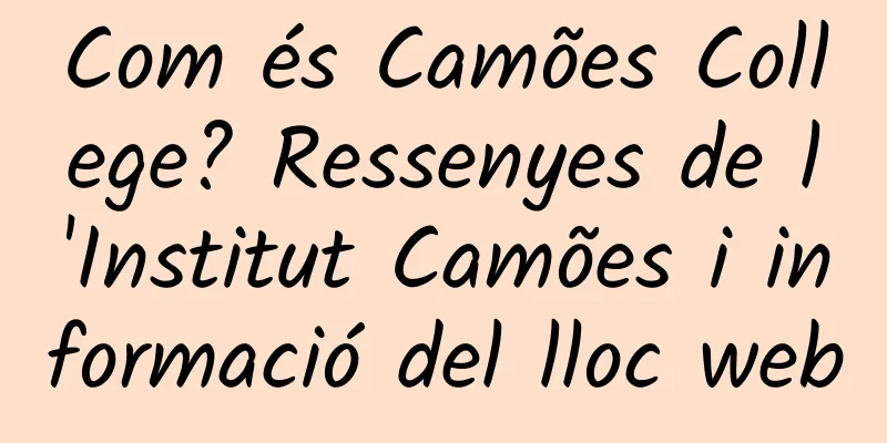 Com és Camões College? Ressenyes de l'Institut Camões i informació del lloc web