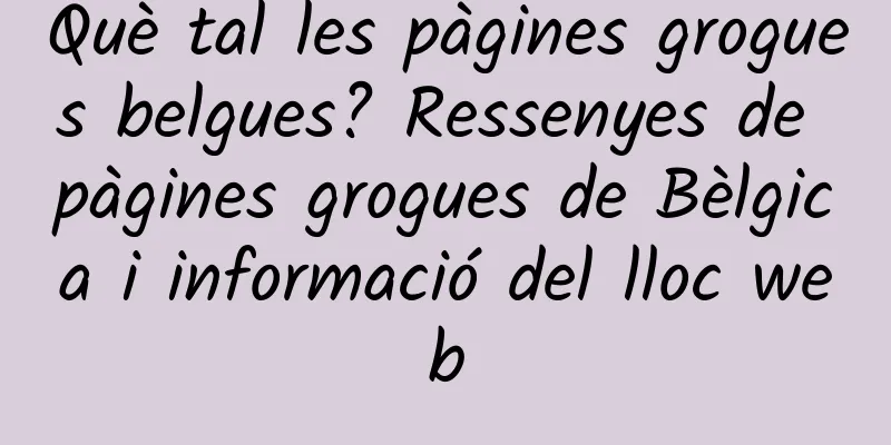 Què tal les pàgines grogues belgues? Ressenyes de pàgines grogues de Bèlgica i informació del lloc web