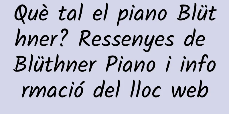 Què tal el piano Blüthner? Ressenyes de Blüthner Piano i informació del lloc web
