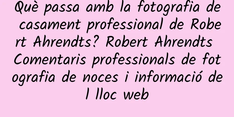 Què passa amb la fotografia de casament professional de Robert Ahrendts? Robert Ahrendts Comentaris professionals de fotografia de noces i informació del lloc web