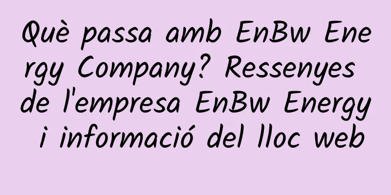 Què passa amb EnBw Energy Company? Ressenyes de l'empresa EnBw Energy i informació del lloc web