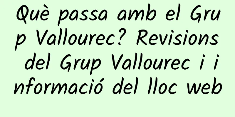 Què passa amb el Grup Vallourec? Revisions del Grup Vallourec i informació del lloc web