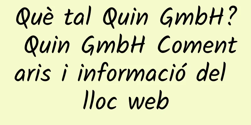 Què tal Quin GmbH? Quin GmbH Comentaris i informació del lloc web