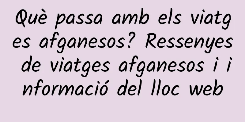 Què passa amb els viatges afganesos? Ressenyes de viatges afganesos i informació del lloc web