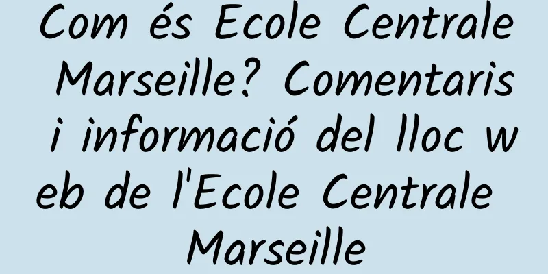 Com és Ecole Centrale Marseille? Comentaris i informació del lloc web de l'Ecole Centrale Marseille