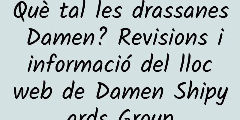 Què tal les drassanes Damen? Revisions i informació del lloc web de Damen Shipyards Group