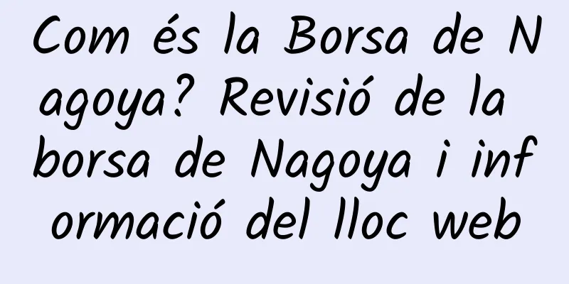 Com és la Borsa de Nagoya? Revisió de la borsa de Nagoya i informació del lloc web