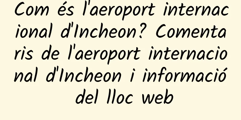 Com és l'aeroport internacional d'Incheon? Comentaris de l'aeroport internacional d'Incheon i informació del lloc web