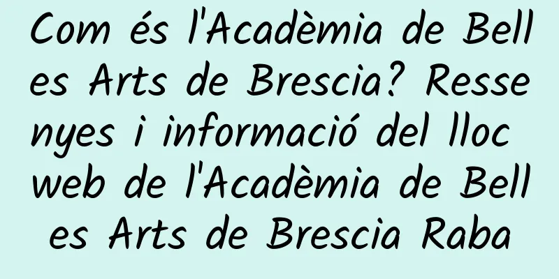 Com és l'Acadèmia de Belles Arts de Brescia? Ressenyes i informació del lloc web de l'Acadèmia de Belles Arts de Brescia Raba