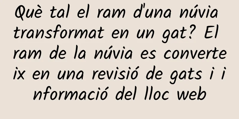 Què tal el ram d'una núvia transformat en un gat? El ram de la núvia es converteix en una revisió de gats i informació del lloc web