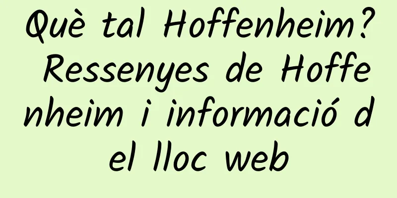 Què tal Hoffenheim? Ressenyes de Hoffenheim i informació del lloc web