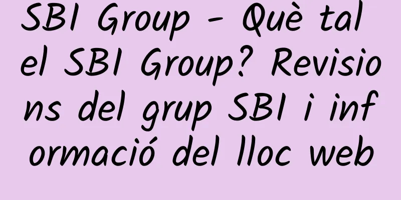 SBI Group - Què tal el SBI Group? Revisions del grup SBI i informació del lloc web