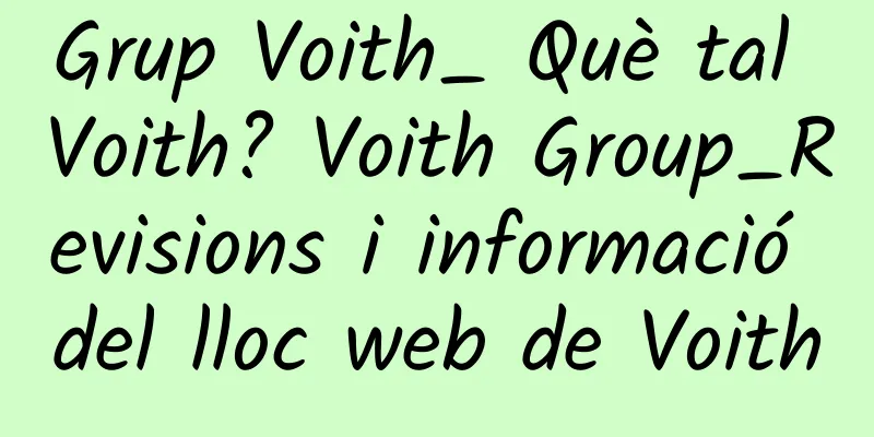 Grup Voith_ Què tal Voith? Voith Group_Revisions i informació del lloc web de Voith