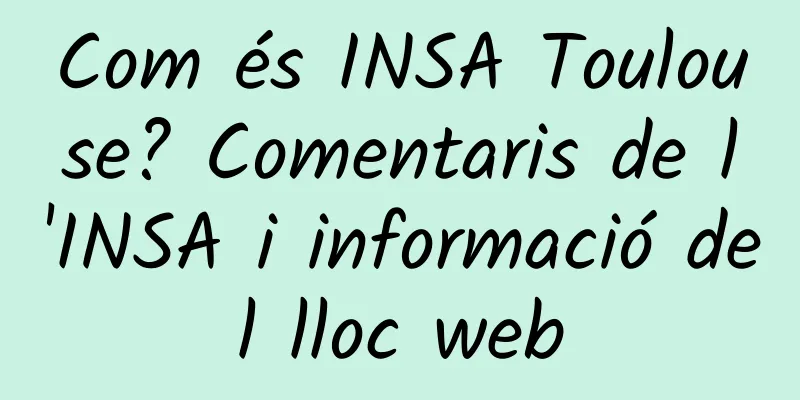 Com és INSA Toulouse? Comentaris de l'INSA i informació del lloc web