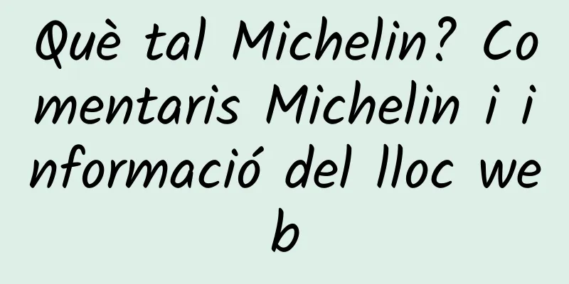 Què tal Michelin? Comentaris Michelin i informació del lloc web