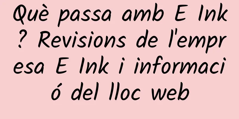 Què passa amb E Ink? Revisions de l'empresa E Ink i informació del lloc web